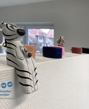 Dr. med. dent. Axel Schneider und Tanja Schneider Fachärzte für Kieferorthopädie Bild 3