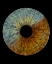 You & Eye Photo Montreux Bild 7