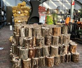 Intratuin Veghel afbeelding 14