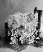 Etienney Florence image 3