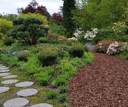 Garten ohne Rasen