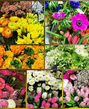 Au Pot aux Roses image 19