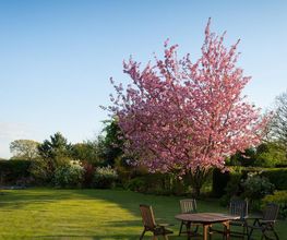 Tout Un Jardin image 1