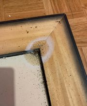 Gandolfi Frédéric image 4