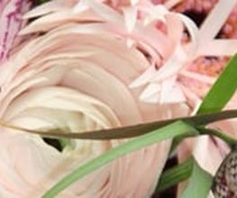 DOFLORES Annette Reich Bild 4