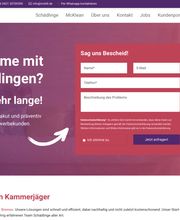 Website