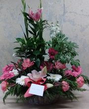 Maison NECTOUX Fleurs et nature image 12