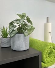 Physiotherapie Sudhop Bild 2