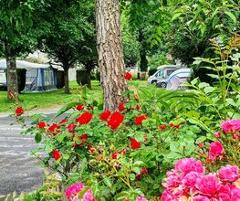 Camping les Frênes image 5