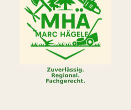 Flyer 1
