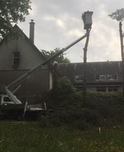 Brac José Elagage Abattage 18 image 8