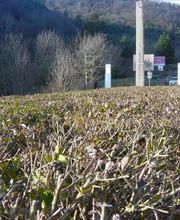 Jardins Et Maisons image 18