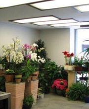 mis-flores-instalaciones-02.jpg