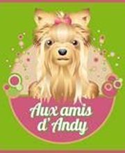 Aux Amis D Andy image 2