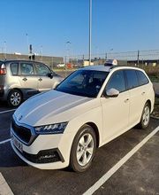 Schreck Isabelle image 2