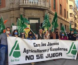 15235443-3-tu08HF12Aj1668687184452.jpeg
