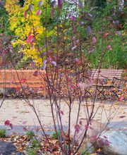 Bestattungs-Institut Wellborg GmbH Bild 22