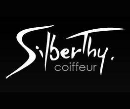 Silberthy image 4