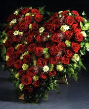 Blumen Nouvelle Fleur Bild 6