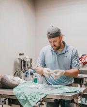 Wewoka Animal Hospital image 7