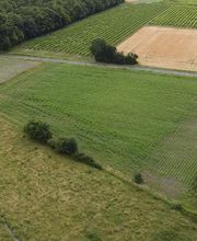 Citeau Christophe image 7