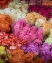 BlütenZauber Binderei Bild 8