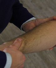 Martinet Bertrand image 1