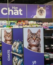 Terranimo - Pont-à-Mousson image 6