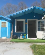 Van Tilbeurgh Sophie image 8