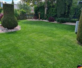 Gartenbau Omlor Ug (haftungsbeschränkt) Bild 4