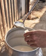 Laiterie du Mouret SA Bild 7