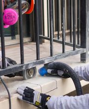 Seal Masters of Hawaii image 2