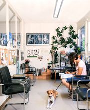 Cabinet vétérinaire Gauderon - Comment Sàrl Bild 5