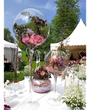 Blumen Peeters Bild 6