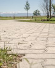 Emmenegger Garten- Tiefbau AG Bild 2