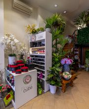 Gallery Professionale