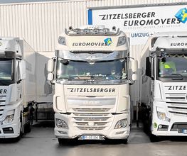 Umzüge Regensburg Euromovers Zitzelsberger Bild 4