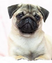 Baker Street image 9