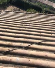 Lenoir Steeve image 14