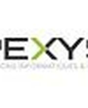 Pexys Gex SARL image 2