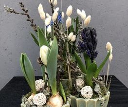 Blumen Kraft Bild 1