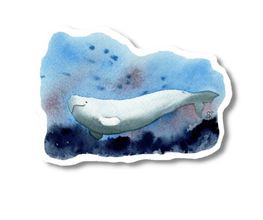 Bioartsense Aquarelle Bild 10