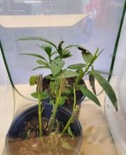 Debary Sonshine Academy image 12