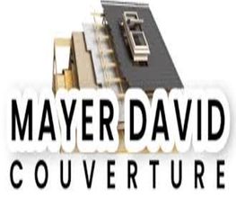 Mayer David image 1
