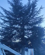 A.D.S Services image 9