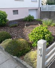 Lenhardts-Gartenpflege Bild 1