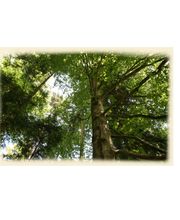 Bestattungen Stock e.K. Inh. Harald Riecker Bild 4