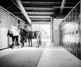 Manège et Poney Club de Presinge Bild 11