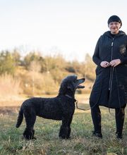 Hundeschule Tanja Kaiser Bild 11