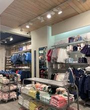 OKAIDI PARIS BAUDELAIRE image 7